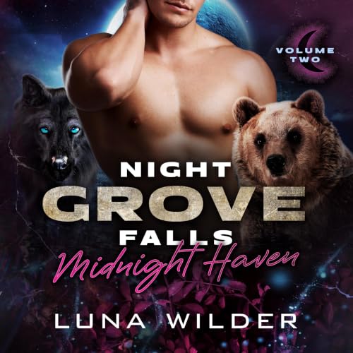 Cover of Night Grove Falls