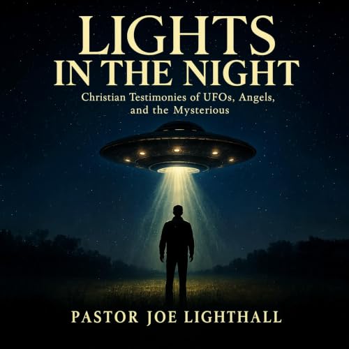 Cover of Lights in the Night