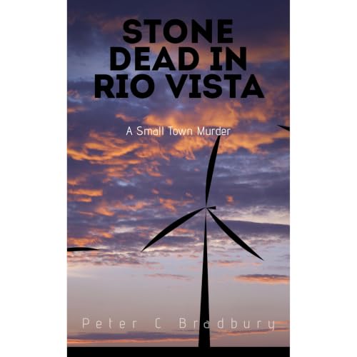 Cover of Stone Dead in Rio Vista