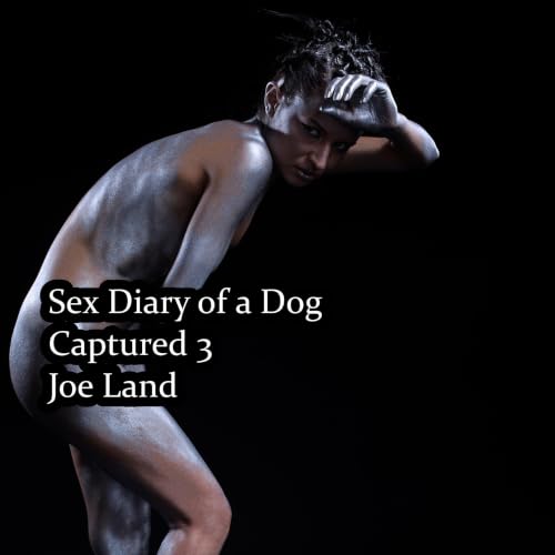Cover of Captured 3