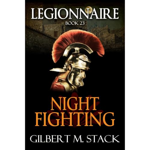 Cover of Night Fighting