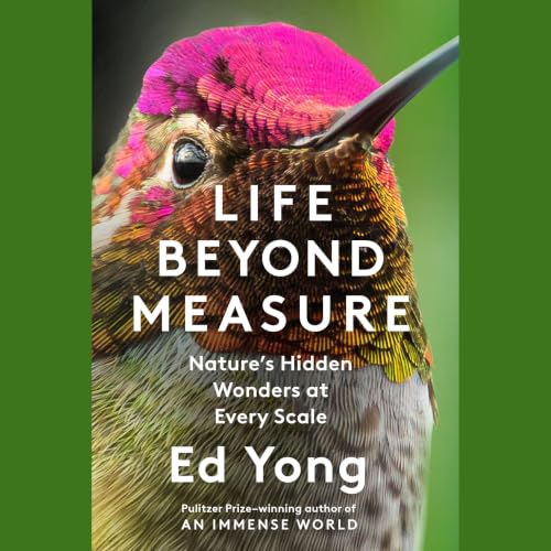 Cover of Life Beyond Measure