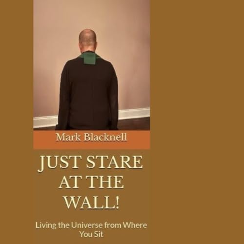 Cover of Just Stare at the Wall!