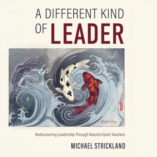 Cover of A Different Kind of Leader