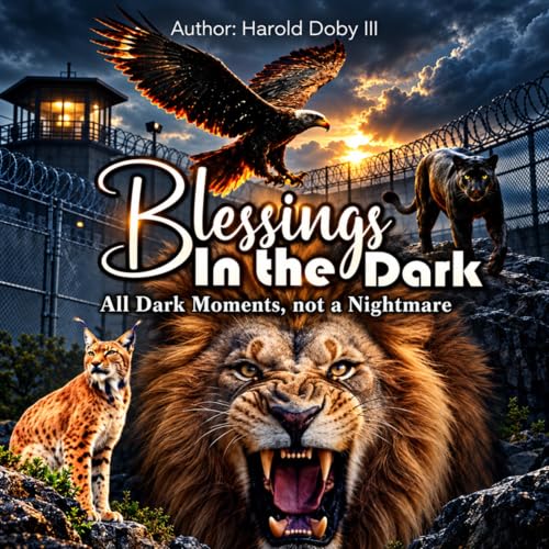 Cover of Blessings in the Dark