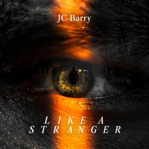 Cover of Like a Stranger