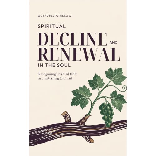 Cover of Spiritual Decline and Renewal in the Soul