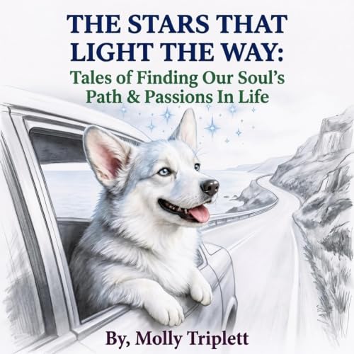 Cover of The Stars That Light the Way