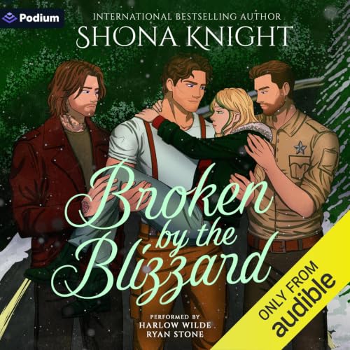 Cover of Broken by the Blizzard