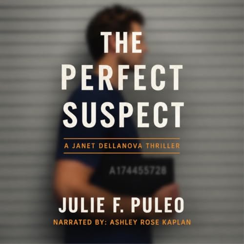 Cover of The Perfect Suspect