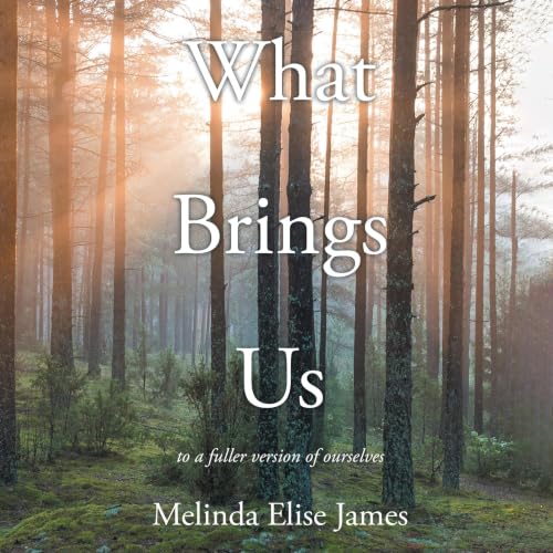 Cover of What Brings Us