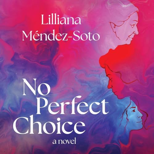 Cover of No Perfect Choice