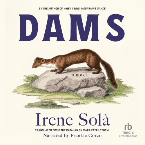 Cover of Dams
