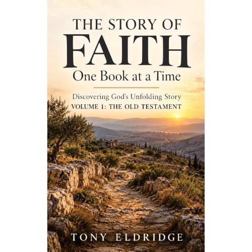 Cover of The Story of Faith, One Book at a Time