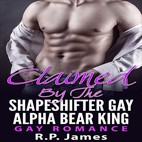 Cover of Gay Romance