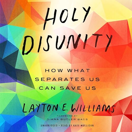 Cover of Holy Disunity