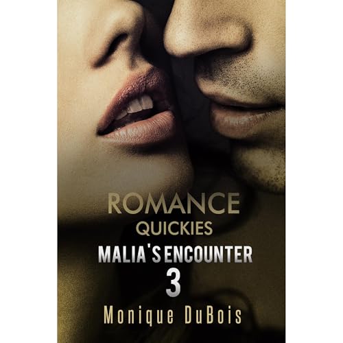 Cover of Romance Quickies