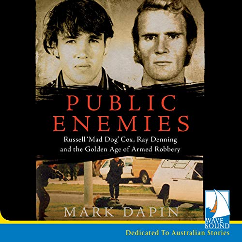 Cover of Public Enemies