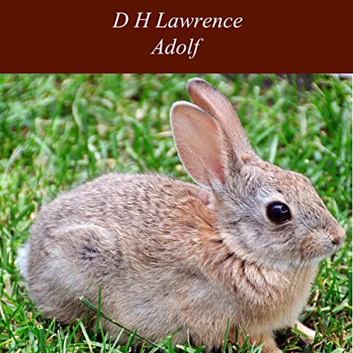Cover of Adolf