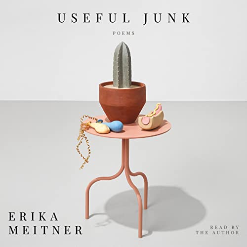 Cover of Useful Junk