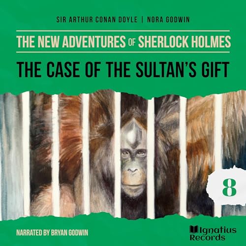 Cover of The Case of the Sultan's Gift
