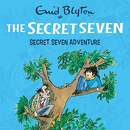 Cover of Secret Seven Adventure