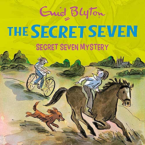 Cover of Secret Seven Mystery