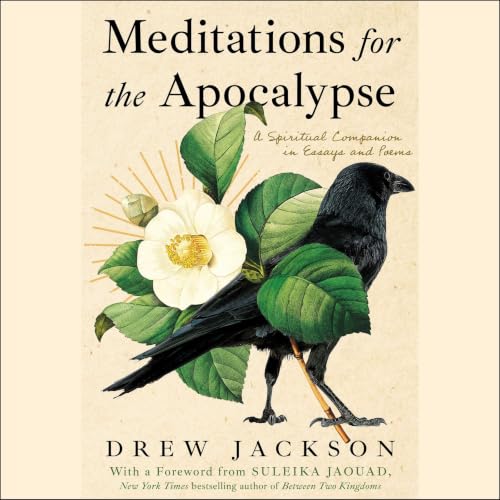 Cover of Meditations for the Apocalypse