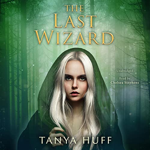 Cover of The Last Wizard