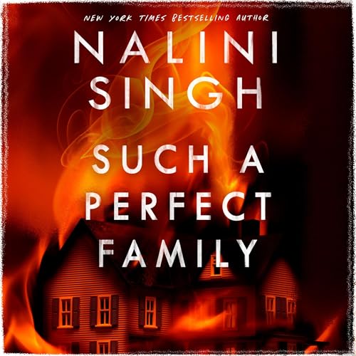 Cover of Such a Perfect Family