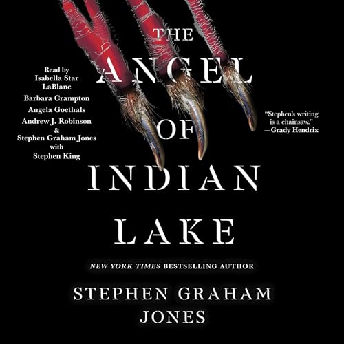 Cover of The Angel of Indian Lake