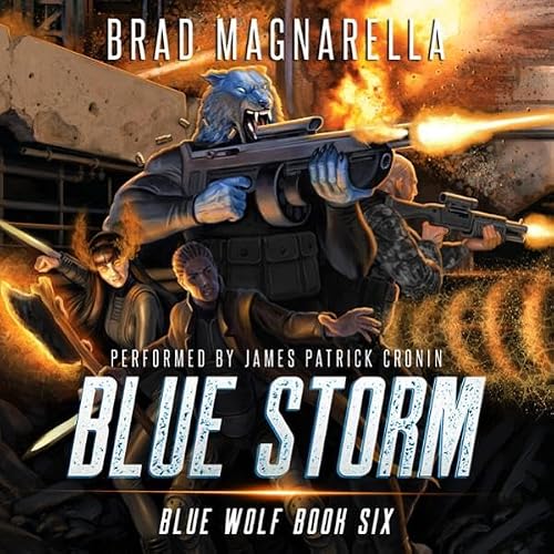 Cover of Blue Storm