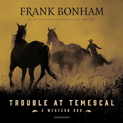Cover of Trouble at Temescal