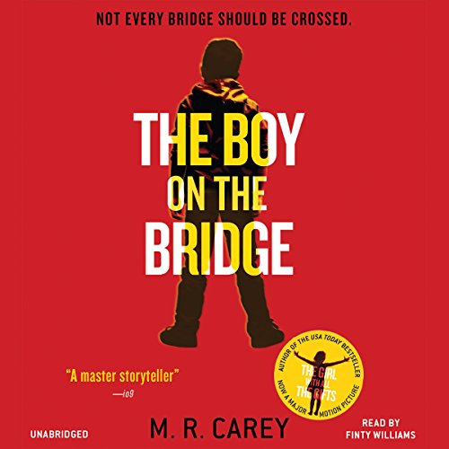 Cover of The Boy on the Bridge