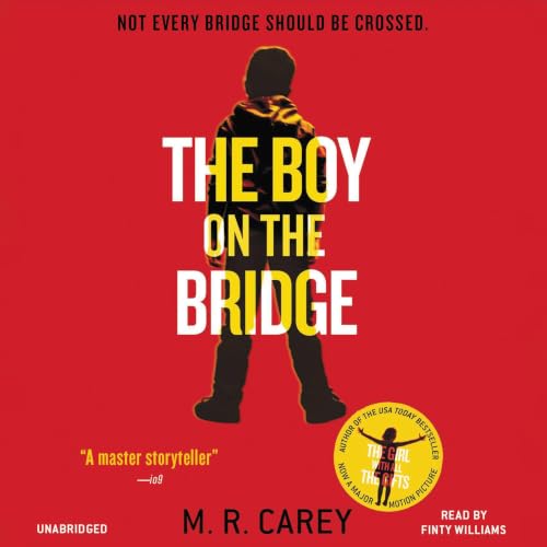 Cover of The Boy on the Bridge