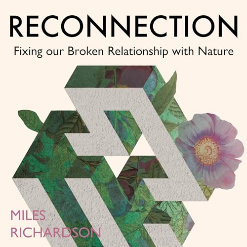 Cover of Reconnection