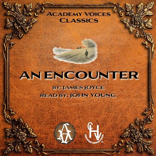 Cover of An Encounter