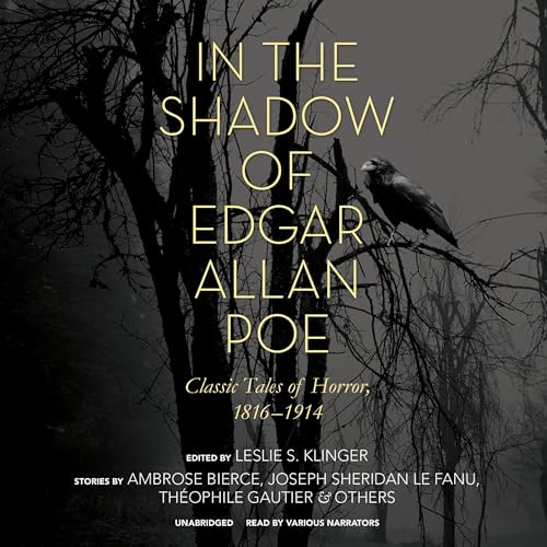 Cover of In the Shadow of Edgar Allan Poe