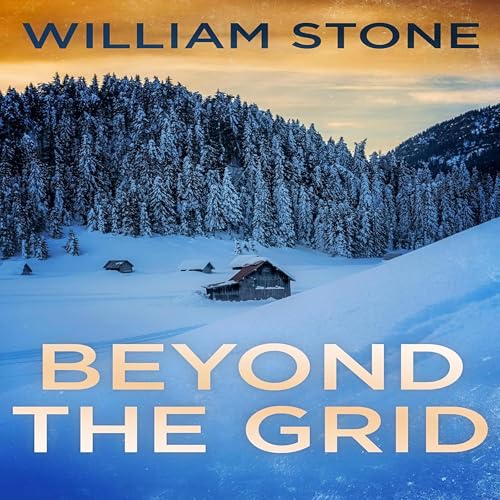 Cover of Beyond the Grid