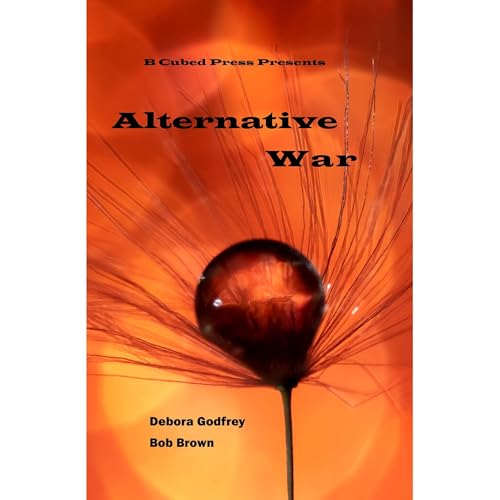 Cover of Alternative War