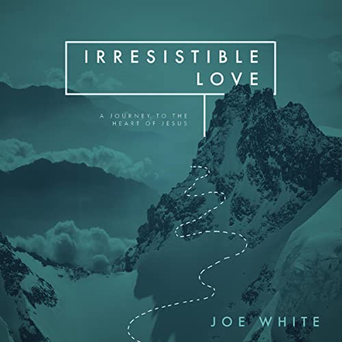 Cover of Irresistible Love