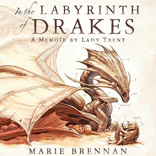 Cover of In the Labyrinth of Drakes
