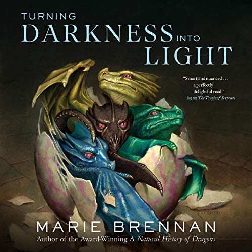 Cover of Turning Darkness Into Light