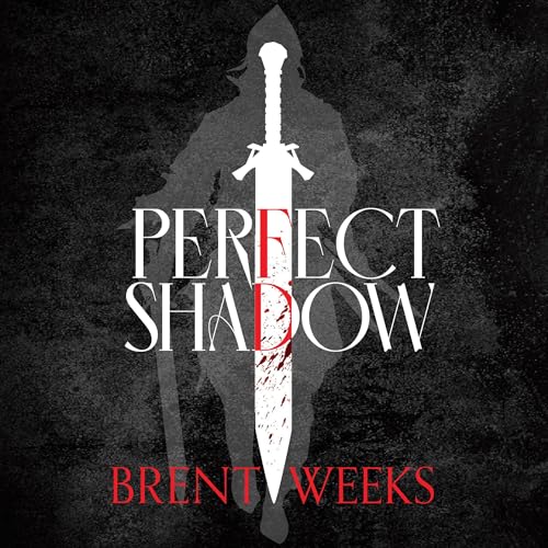 Cover of Perfect Shadow