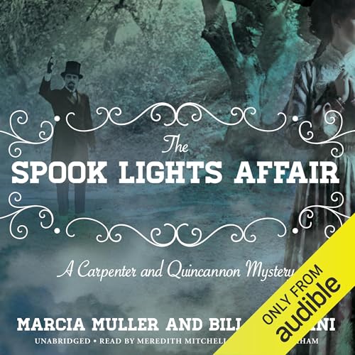 Cover of The Spook Lights Affair