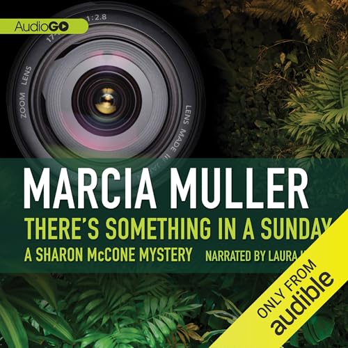 Cover of There's Something in a Sunday