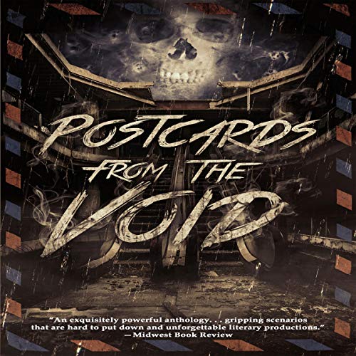 Cover of Postcards from the Void
