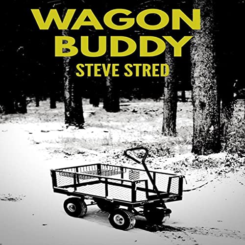 Cover of Wagon Buddy
