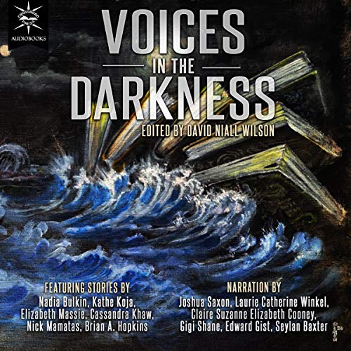 Cover of Voices in the Darkness