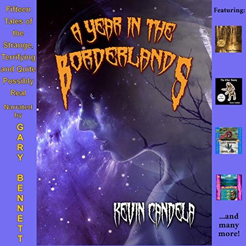 Cover of A Year in the Borderlands